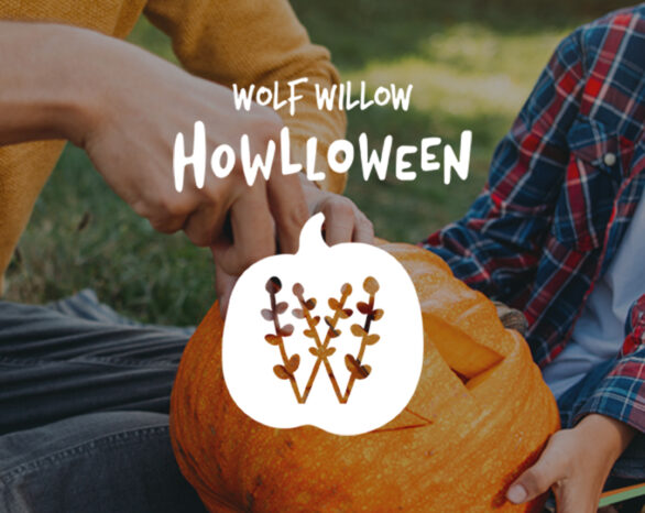 Halloween in Wolf Willow