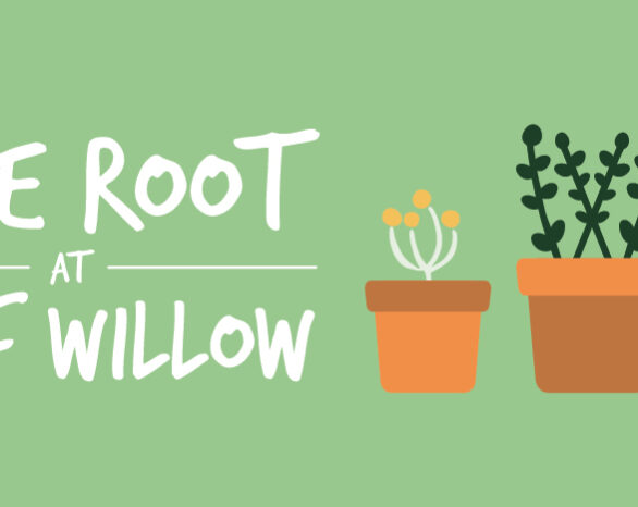 Text reading Take Root at Wolf Willow with potted plants.