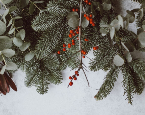 boughs of evergreen and red berries