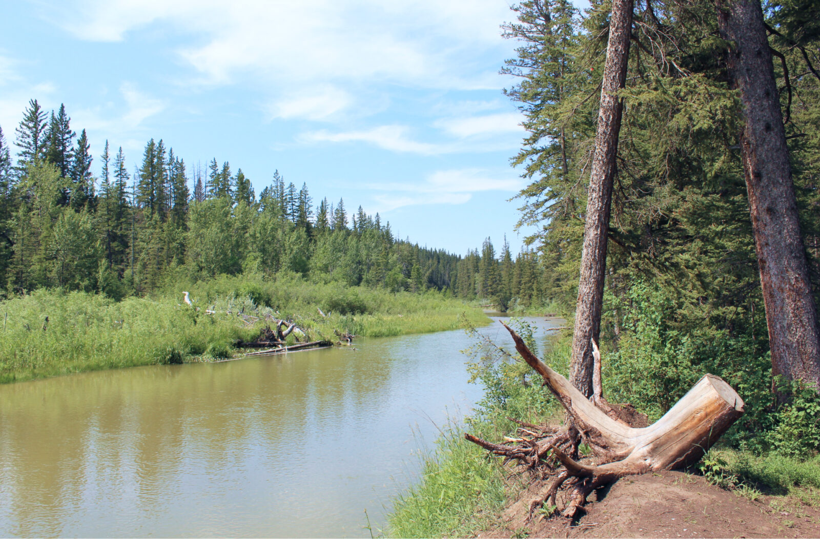 Bike to These Beautiful Destinations in Fish Creek Park from Wolf