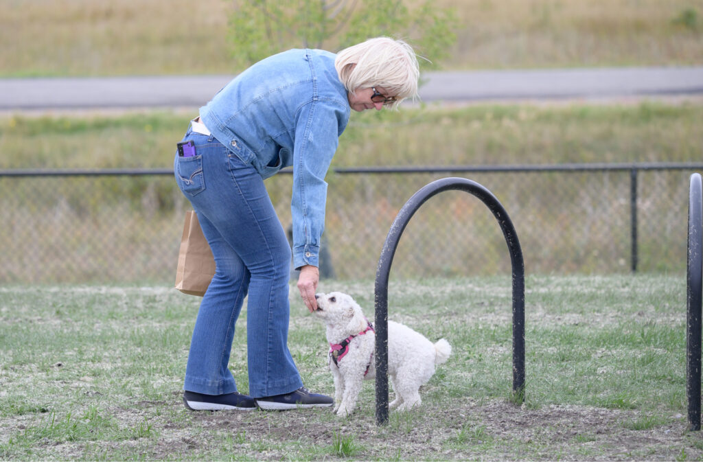 A trainer giving positive reinforcement to their dog after it completed an agility course.