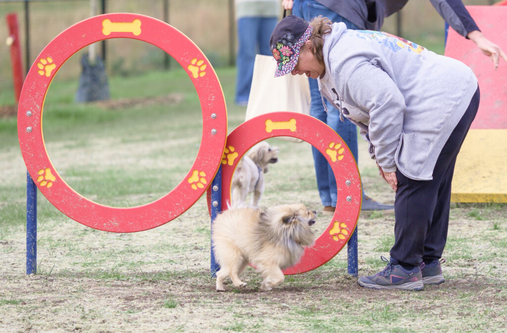 An owner congratulating their dog for jumping through a ring.