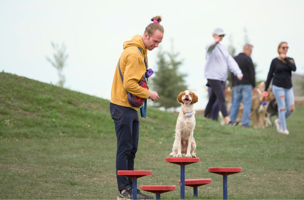 An owner giving positive reinforcement to their dog for completing stepping stones.