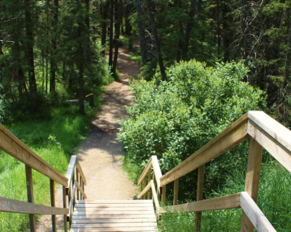 A staircase leading down to a trail in Fish Creek Park.