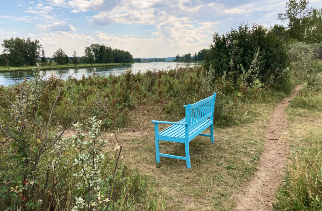 A blue bench overlooking the Bow River, next to a singletrail track.