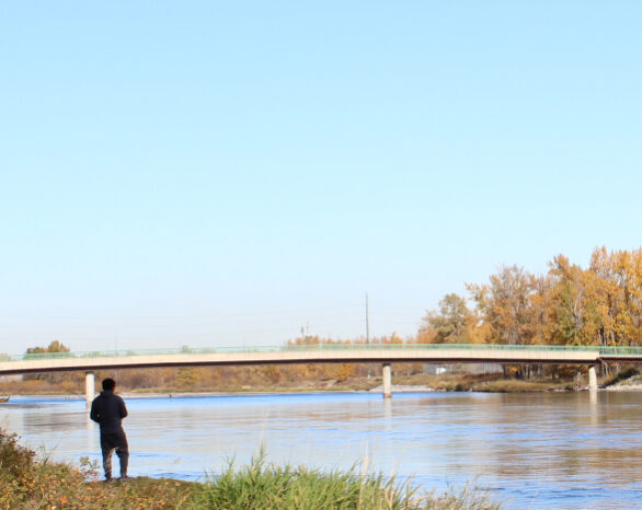 a man fishes off the coast of the bow river in autumn.