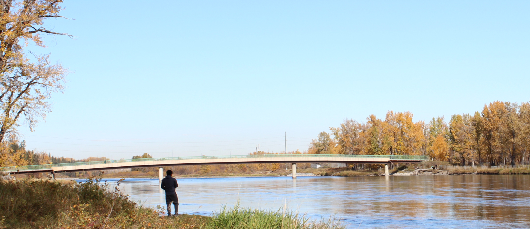 a man fishes off the coast of the bow river in autumn.