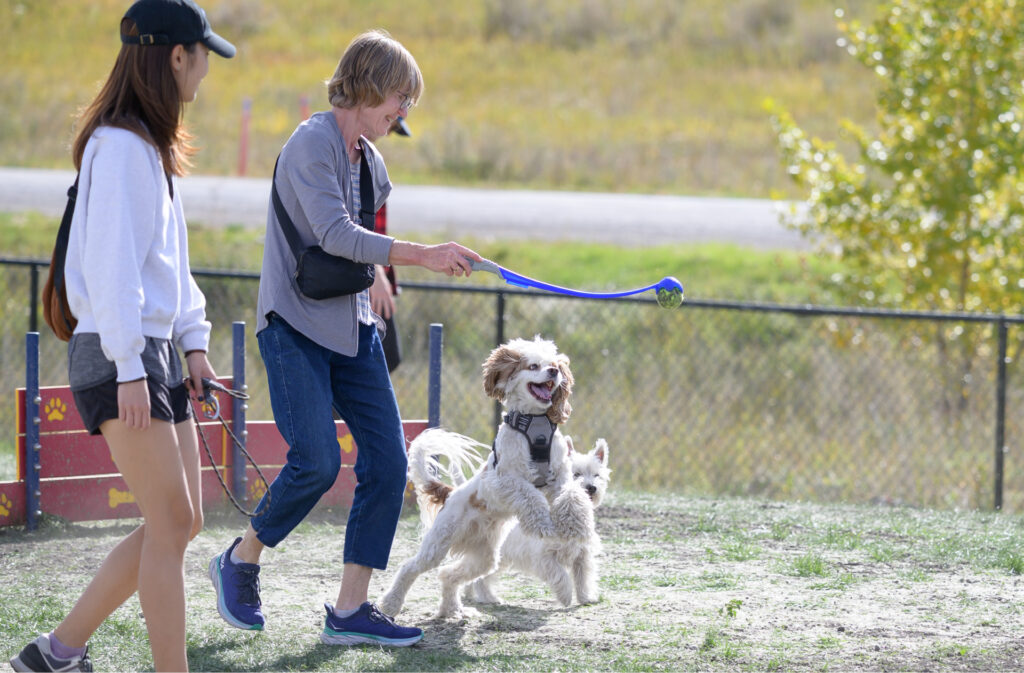 A woman walking with her dog and preparing to play fetch.