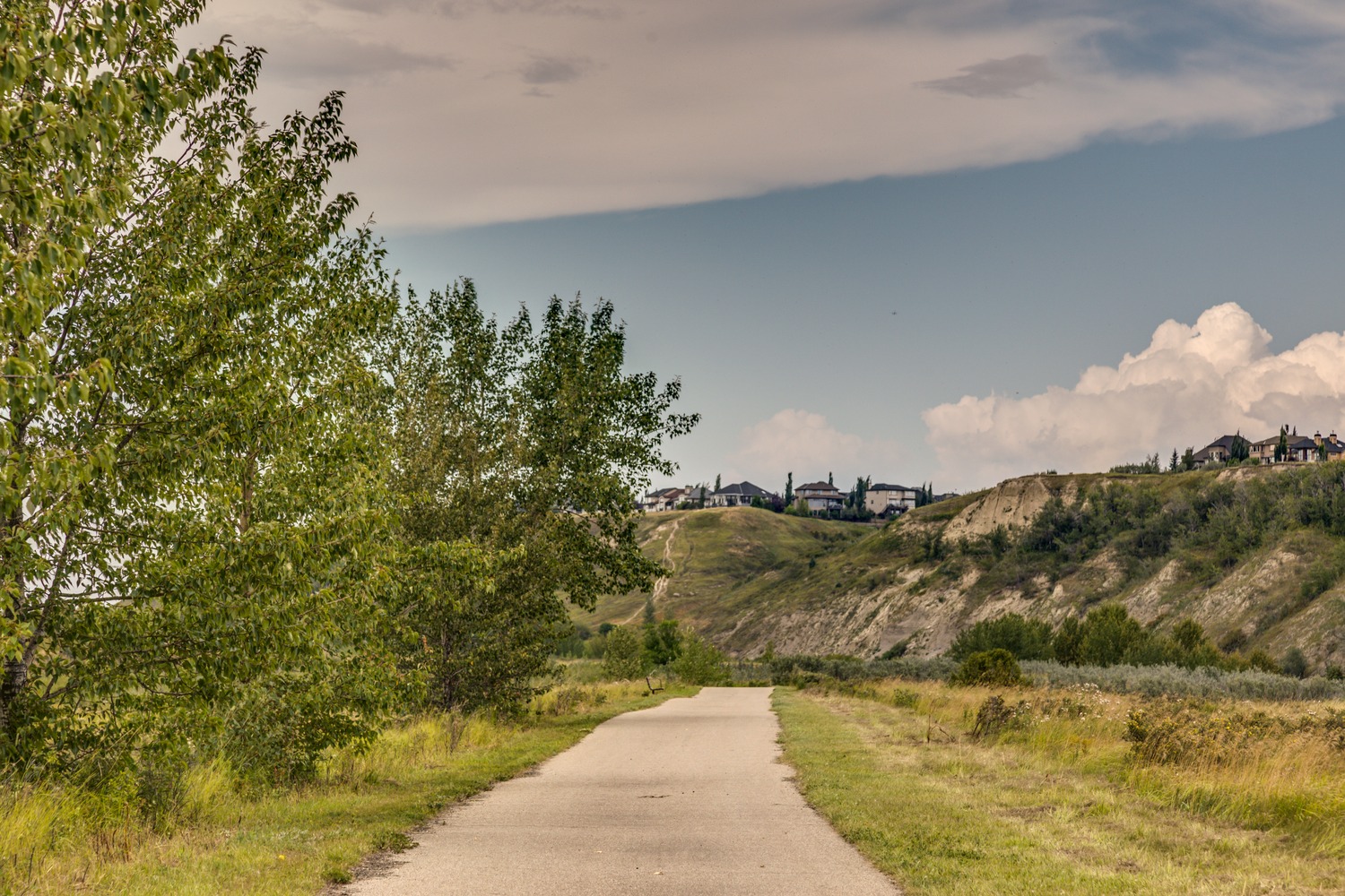Wolf Willow Walking Trails