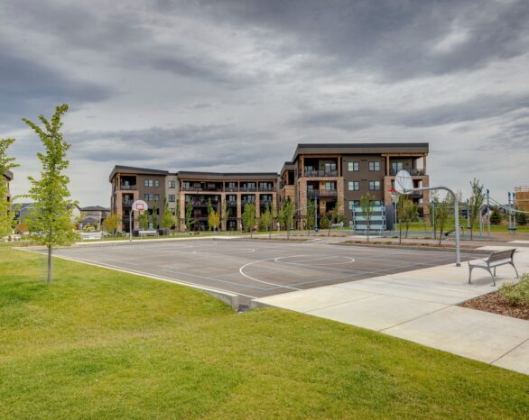 Wolf Park Multi-Use Court