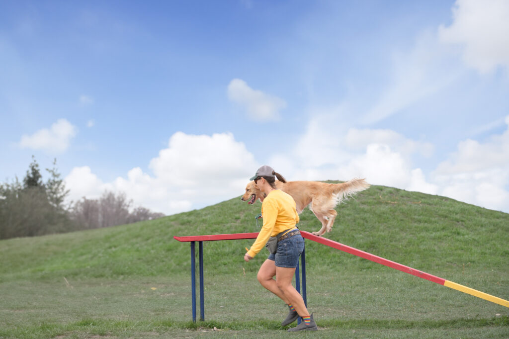 Woof Willow Dog Park
