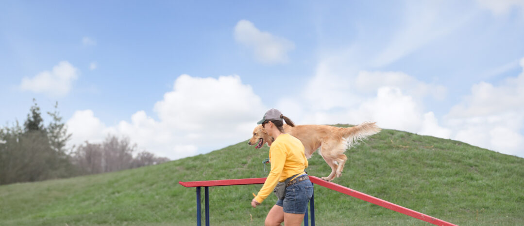 Woof Willow Dog Park
