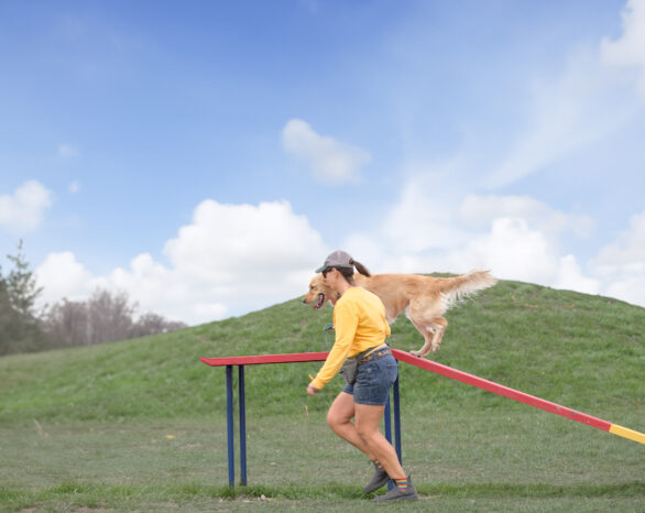 Woof Willow Dog Park