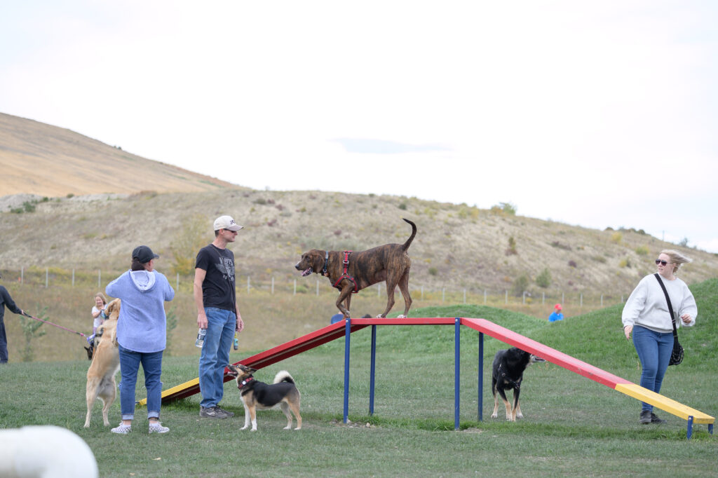 Woof Willow Dog Park Agility Equipment