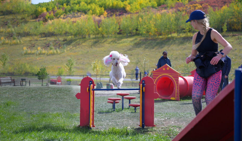 Woof Willow Dog Park