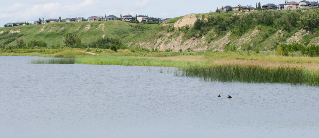 Views of the Bow river is Southeast Calgary on a summer's day
