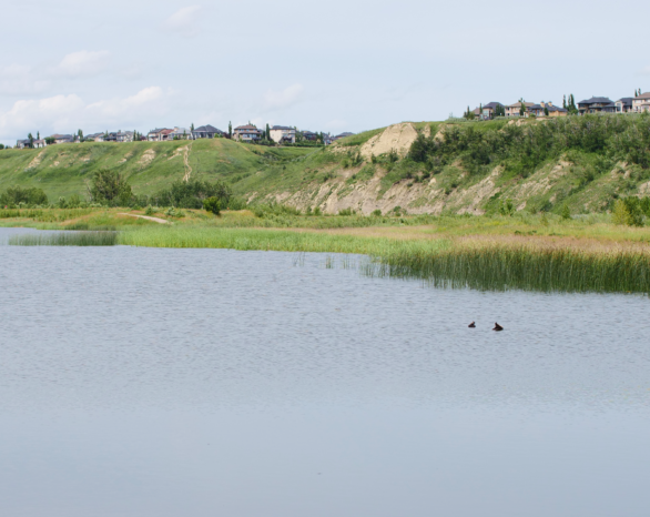 Views of the Bow river is Southeast Calgary on a summer's day